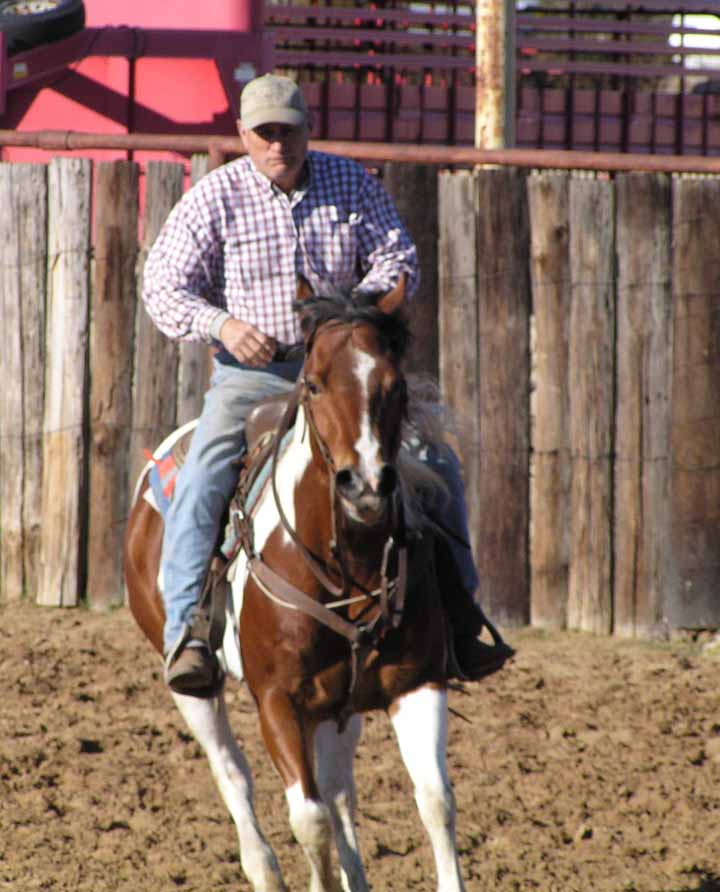 David on horse